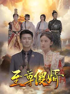至尊傻婿(82集) 至尊傻婿(82集)原画无删减版