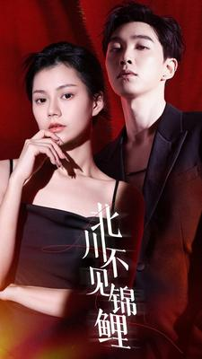 北川不见锦鲤（72集）无广告免费看