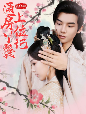 照红妆通房丫鬟上位记（85集）赘婿短剧