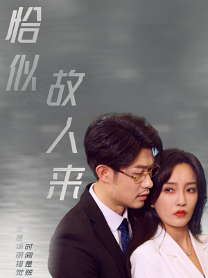 恰似故人来（79集）宫斗短剧