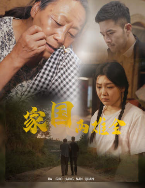 家国两难全&自古忠孝两难全（62集）逆袭打脸短剧