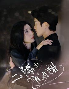二婚有点甜(88集) 二婚有点甜(88集)恶毒女配
