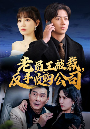 老员工被裁反手收购公司（34集）续集什么时候出