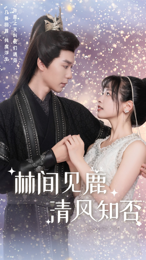 林间见鹿清风知否(62集) 林间见鹿清风知否(62集)跨年档短剧