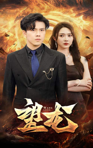 望龙（72集）第二季