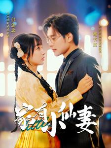 家有小仙妻（101集）短剧季播