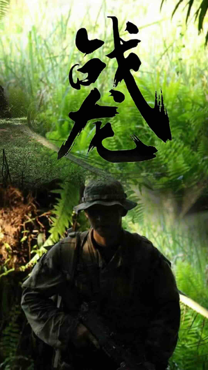 战龙(80集) 战龙(80集)太霸气了