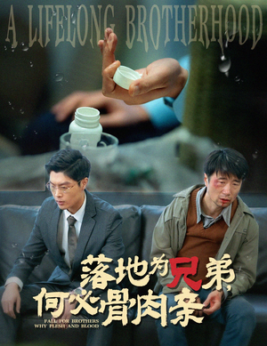 落地为兄弟,何必骨肉亲(60集) 落地为兄弟,何必骨肉亲(60集)短剧偶像