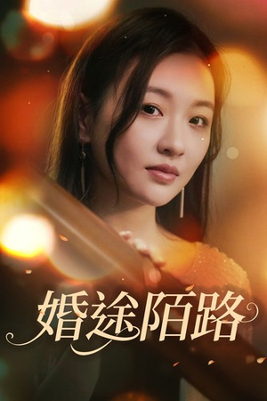 婚途陌路(15集) 婚途陌路(15集)快节奏