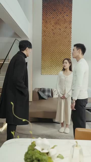 傅先生的闪婚甜妻（50集）电影质感