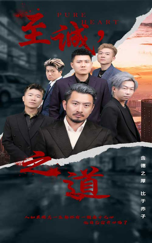 至诚之道（75集）反转短剧