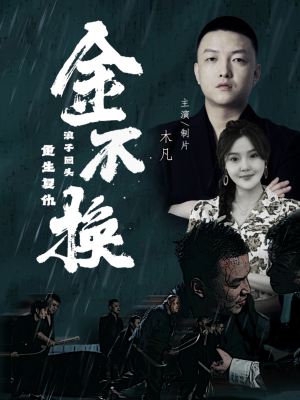 金不换（32集）口碑短剧