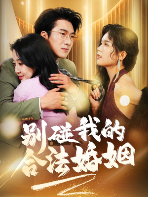 别碰我的合法婚姻&天大地大老婆最大（30集）免费全集播放