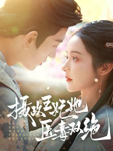 摄政王妃她医毒双绝（80集）无片头