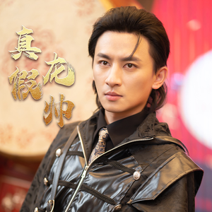 真假龙帅（81集）会员短剧