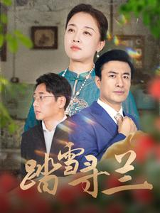 踏雪寻兰（94集）良心制作