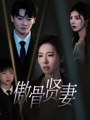 傲骨贤妻(52集) 傲骨贤妻(52集)港风