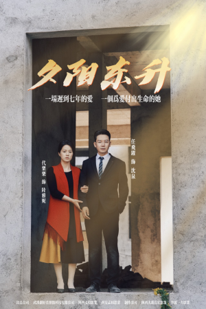 夕阳东升（30集）大结局在线观看