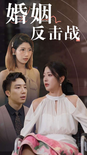 婚姻反击战（40集）转存链接
