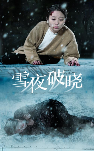 雪夜破晓（36集）口碑短剧