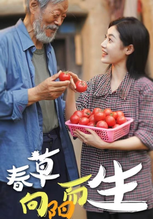 春草向阳而生（53集）短剧排行榜