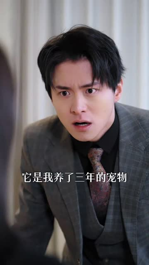 总裁，夫人一心想离婚（87集）废柴觉醒