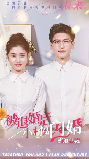 被退婚后，小村姑闪婚霸道总裁（36集）没剧看了怎么办