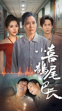 小喜鹊尾巴长（53集）宅斗短剧