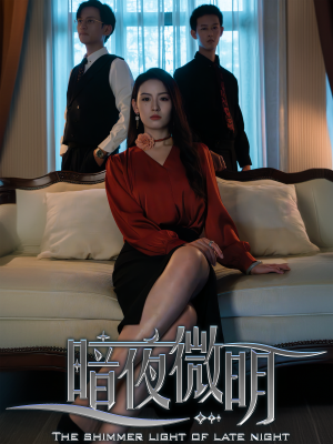 暗夜微明（70集）短剧编剧新作