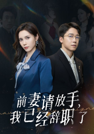 前妻请放手，我已经辞职了（30集）夸克网盘转存