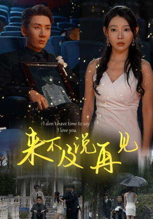来不及说再见（30集）单集付费
