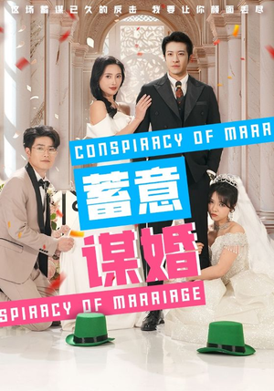 蓄意谋婚（30集）睡前追剧