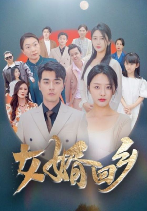 女婿回乡（120集）太燃了