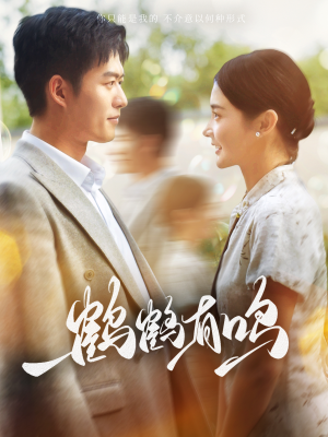 鹤鹤有鸣（87集）催婚短剧