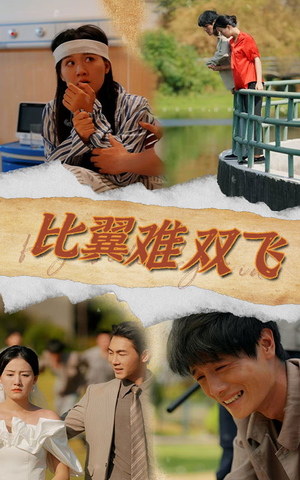 比翼难双飞（30集）太霸气了