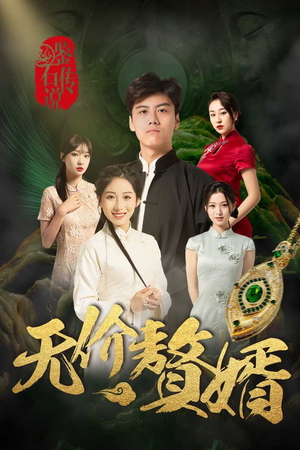鉴宝传说之无价赘婿（100集）全集