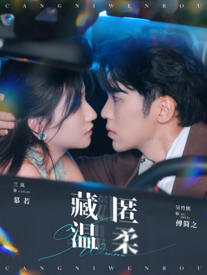 藏匿温柔（99集）怎么看