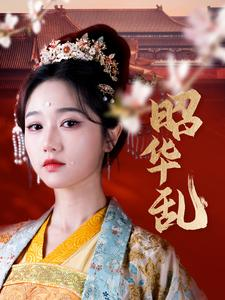 昭华乱（86集）百度网盘资源