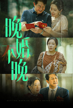 晚婚不晚(30集) 晚婚不晚(30集)什么剧情