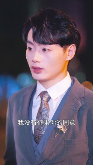 被闪婚老公套路(40集) 被闪婚老公套路(40集)独立女主