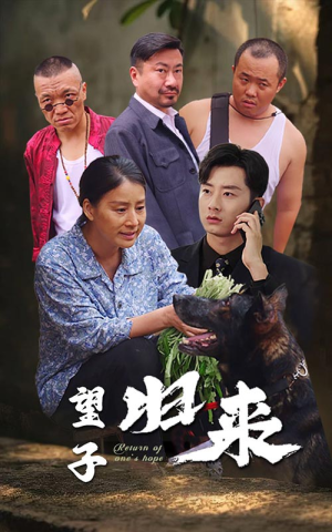 望子归来（50集）太好哭了
