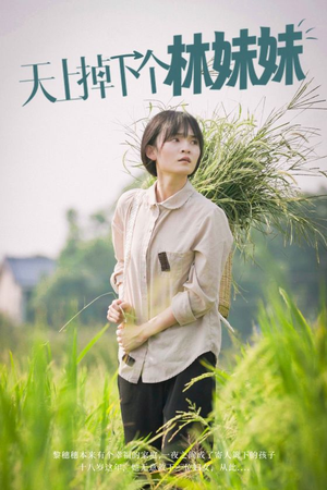 天上掉下个林妹妹（81集）追完空虚