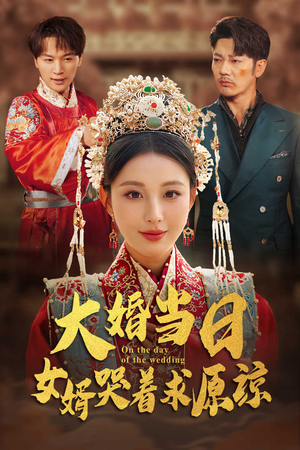 大婚当日，女婿哭着求原谅（31集）太苏了