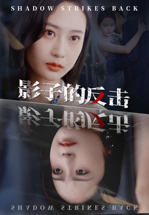 影子的反击(31集) 影子的反击(31集)反派洗白