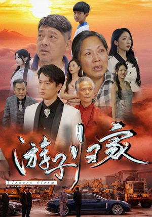 游子归家（88集）偶像剧天花板