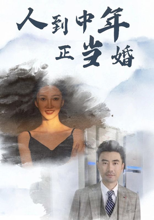 人到中年正当婚（81集）废物逆袭