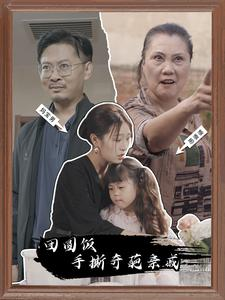 团圆饭手撕奇葩亲戚（40集）意难平啊