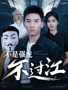 不是强龙不过江（98集）已完结