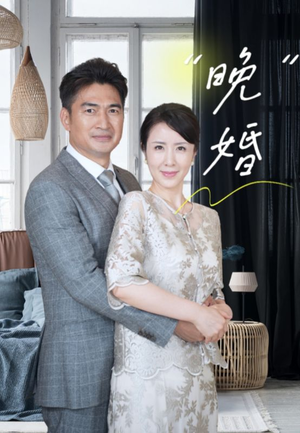 晚婚（65集）全集免费看不用下载