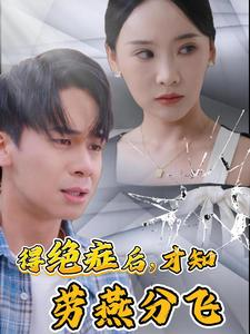 得绝症后才知劳燕分飞（31集）大结局